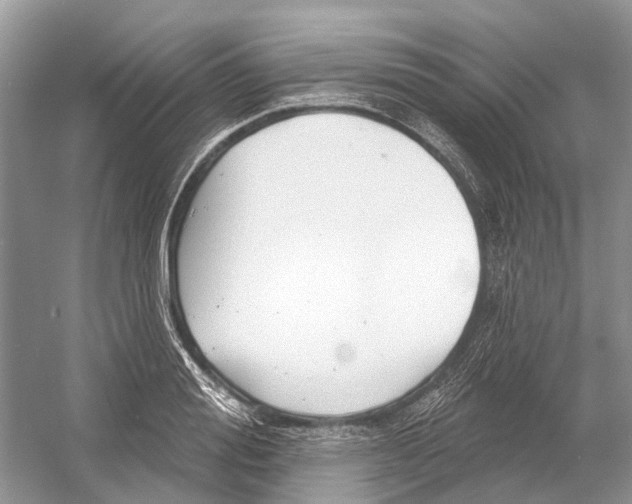 X0000052940988200508050851