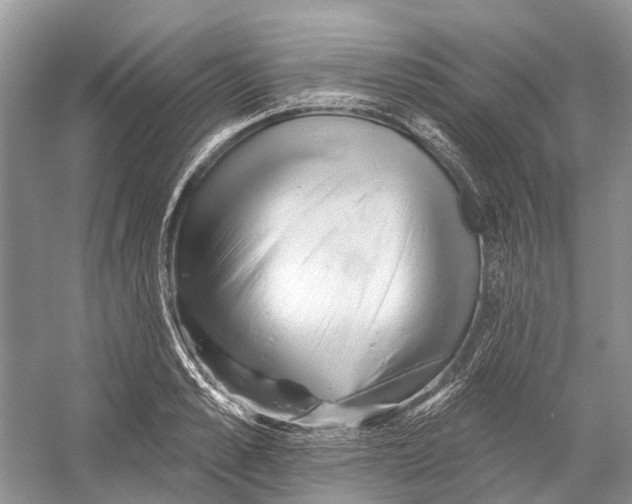 X0000052940989200508050851