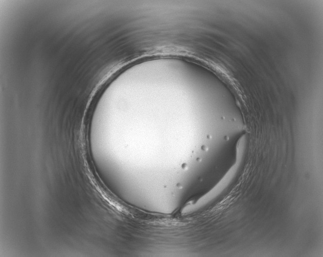 X0000052940990200508050851