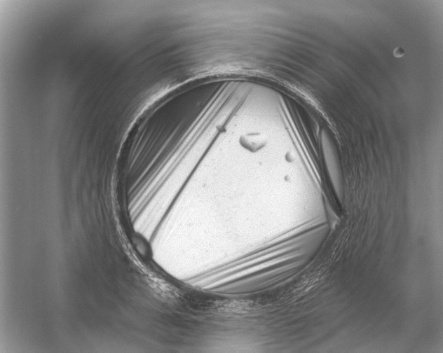 X0000052940991200508050851