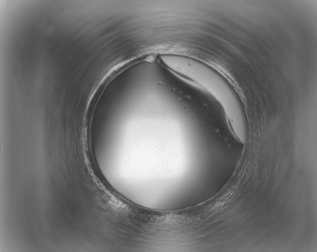 X0000052940992200508050851