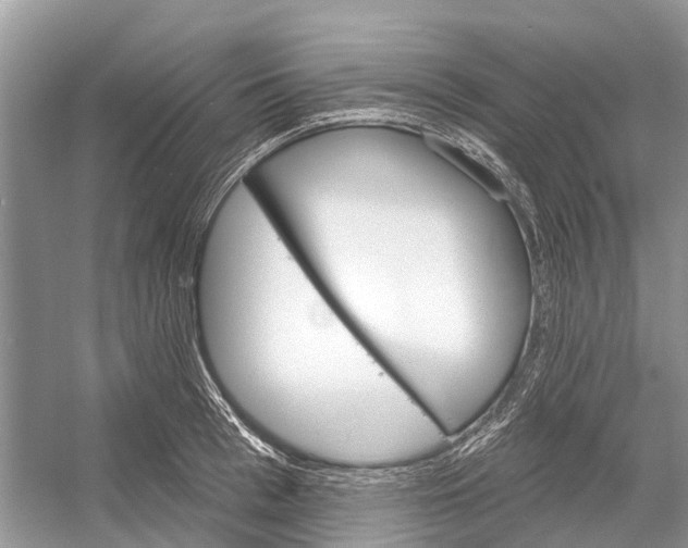 X0000052940993200508050851