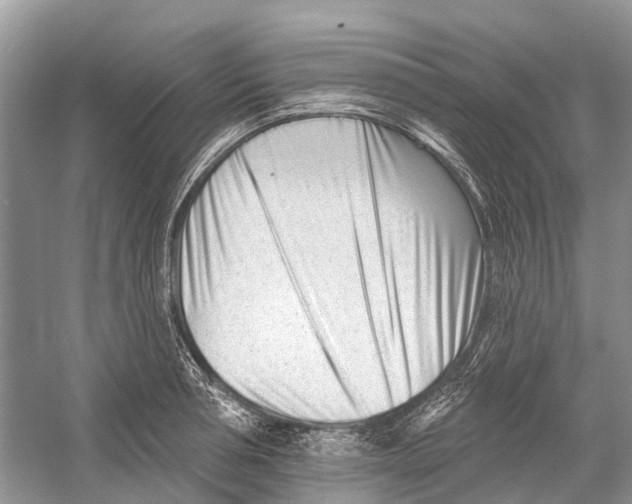 X0000052940994200508050851