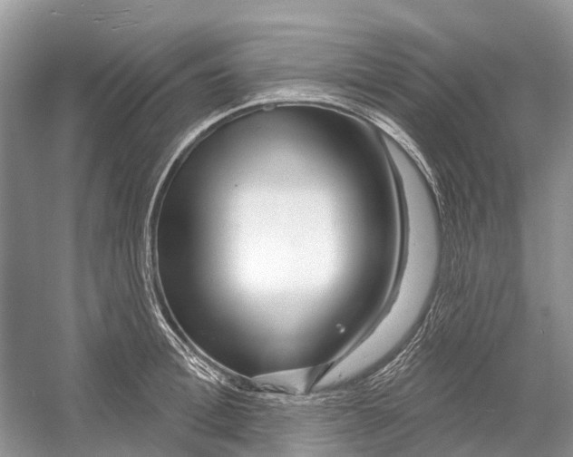 X0000052940996200508050851