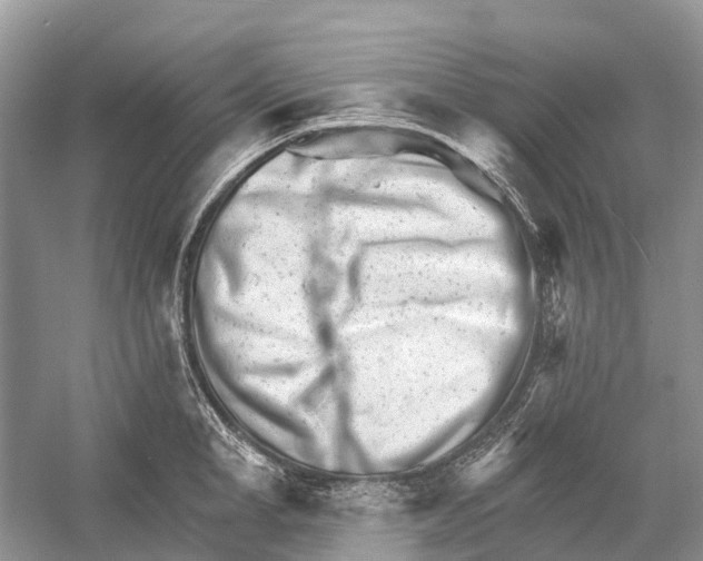 X0000052940998200508050851