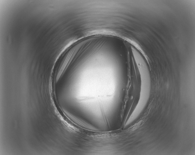 X0000052940999200508050851