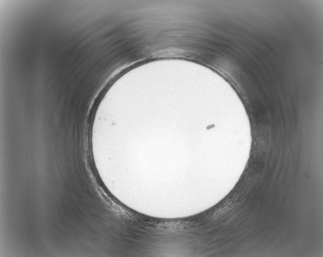 X0000052941000200508050851