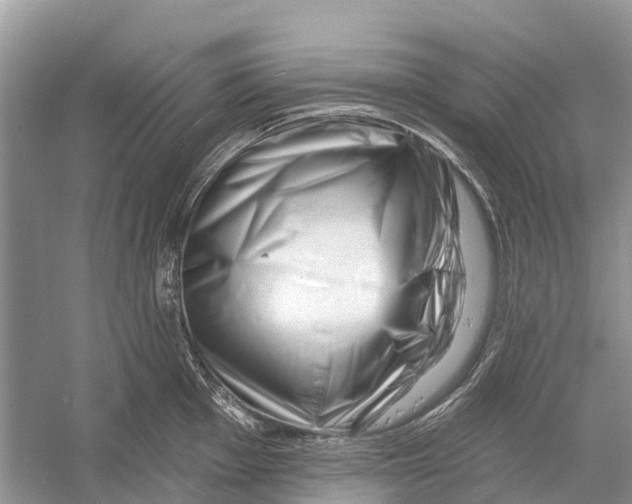 X0000052941001200508050851