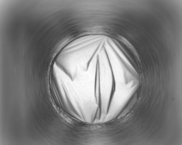 X0000052941002200508050851