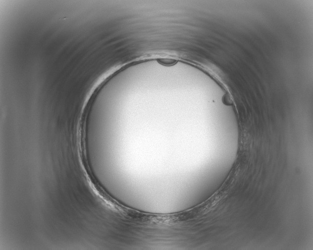 X0000052941003200508050851