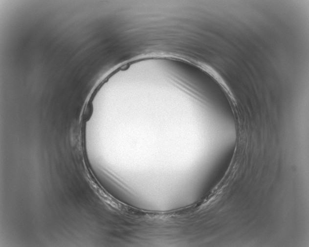 X0000052941004200508050851