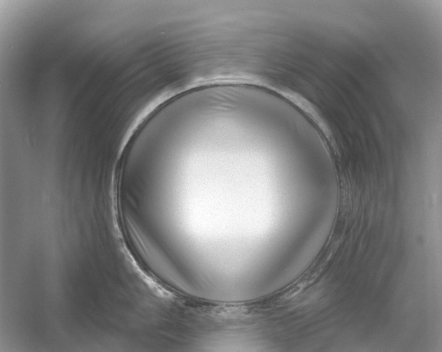 X0000052941006200508050851