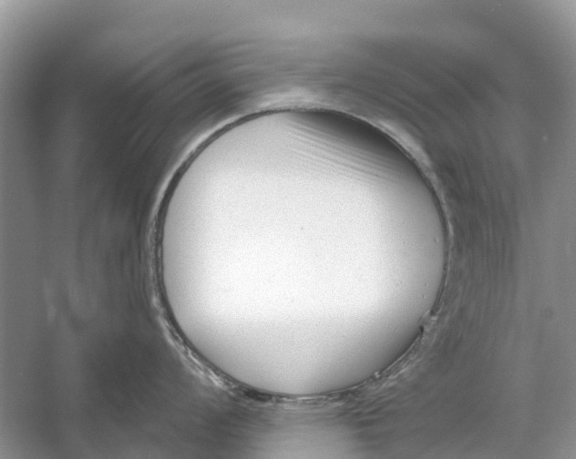 X0000052941008200508050851