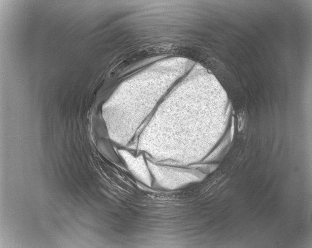 X0000052941011200508050850