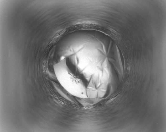 X0000052941014200508050850