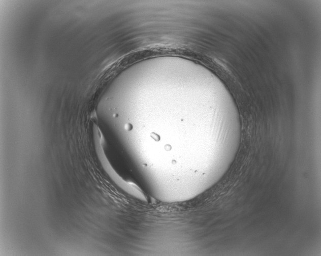 X0000052941015200508050850