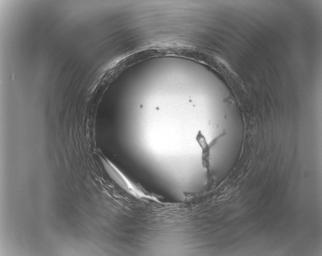 X0000052941016200508050850