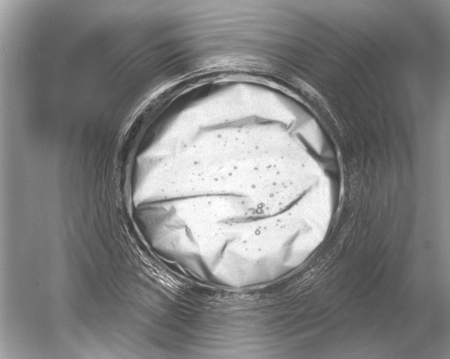 X0000052941019200508050850