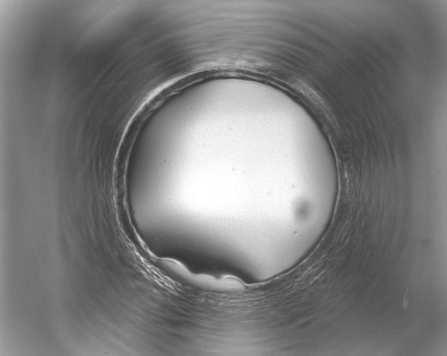 X0000052941020200508050850