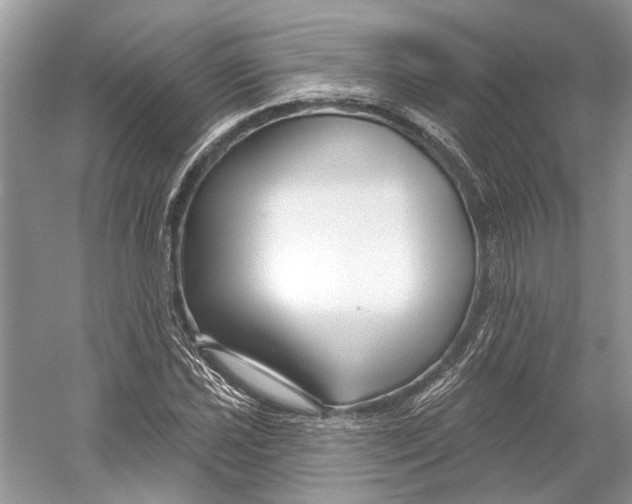 X0000052941021200508050850