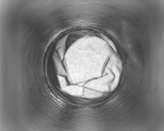 X0000052941023200508050850