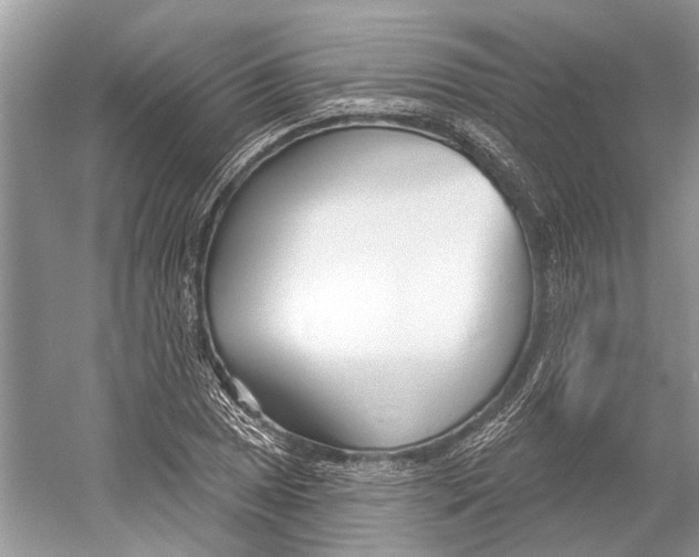 X0000052941025200508050850