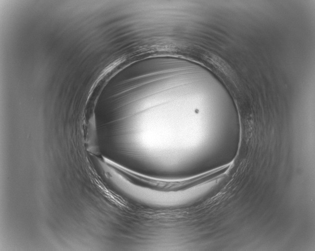 X0000052941026200508050850