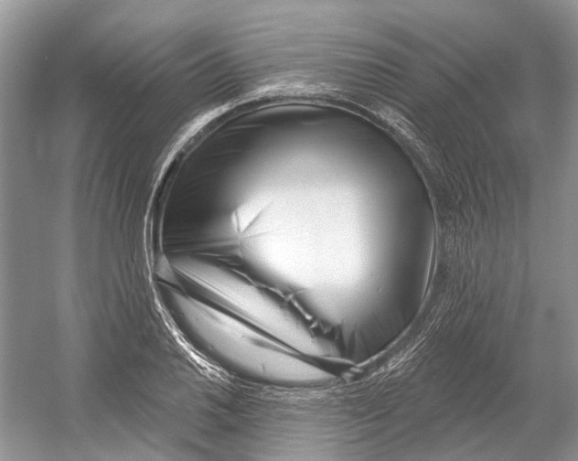 X0000052941030200508050850