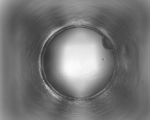 X0000052941032200508050850