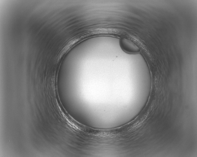 X0000052941033200508050850