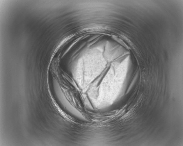 X0000052941034200508050850