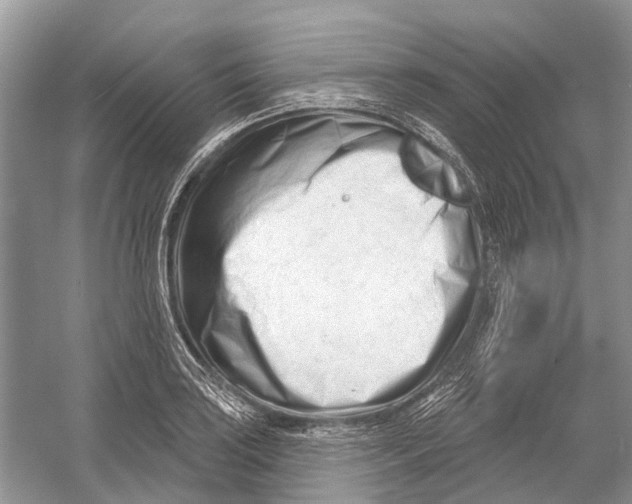 X0000052941035200508050850