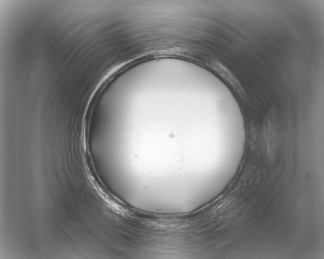 X0000052941036200508050850