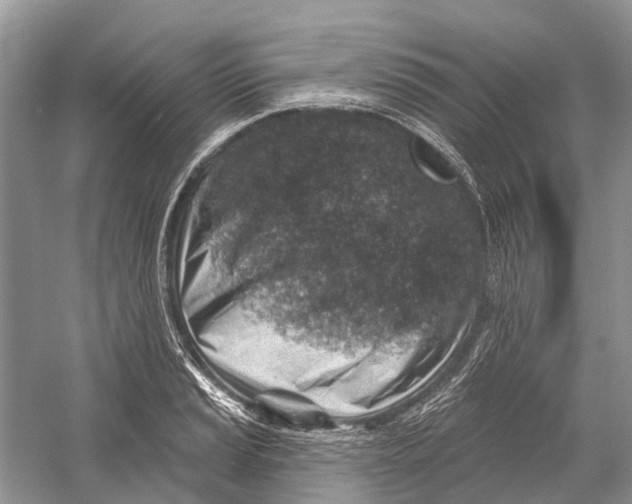 X0000052941037200508050850