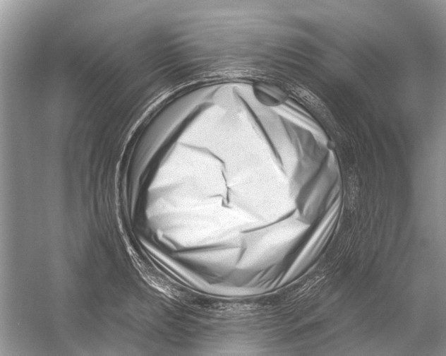 X0000052941039200508050850