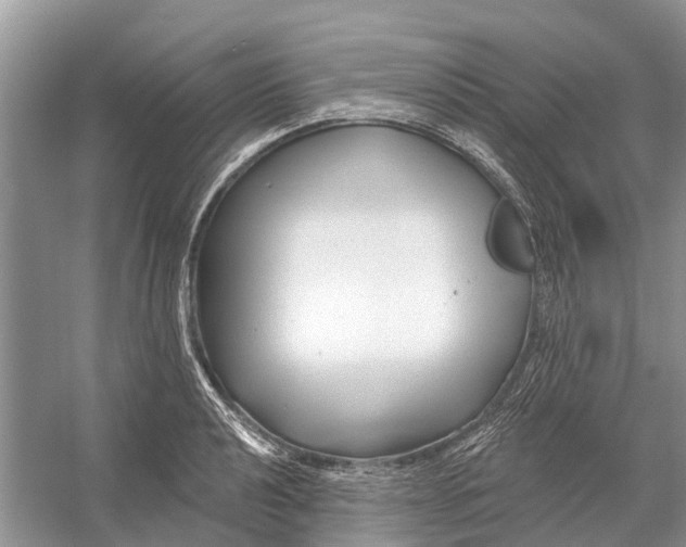 X0000052941040200508050850