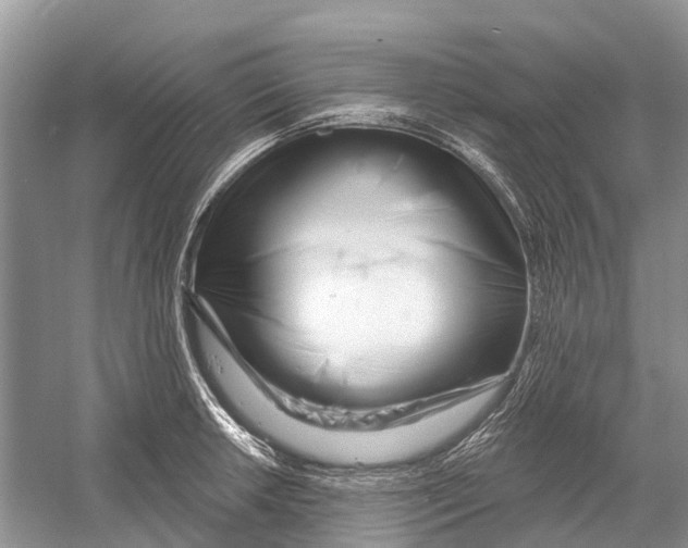 X0000052941042200508050850