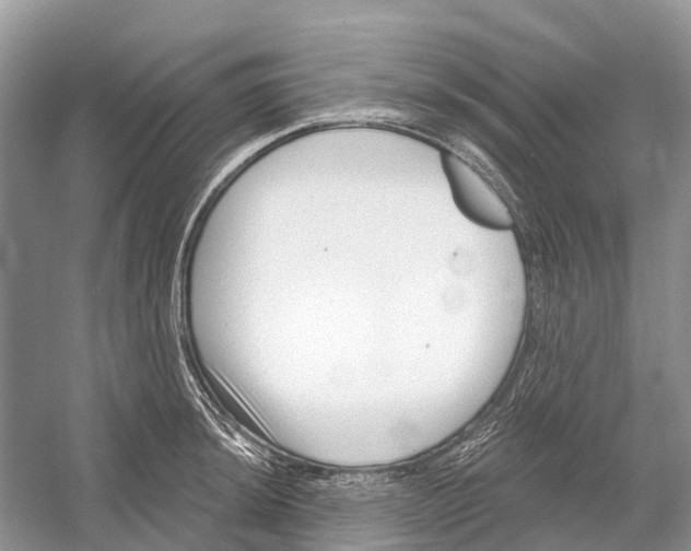 X0000052941044200508050850