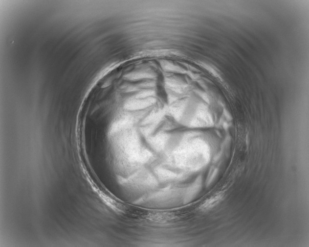 X0000052941046200508050850