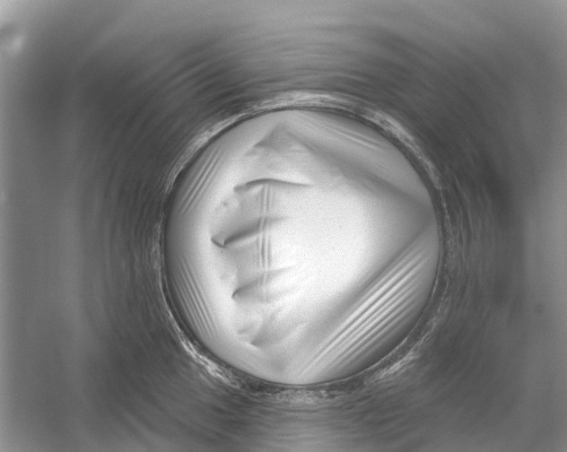 X0000052941049200508050850