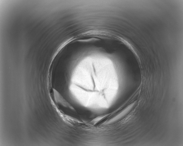 X0000052941050200508050850