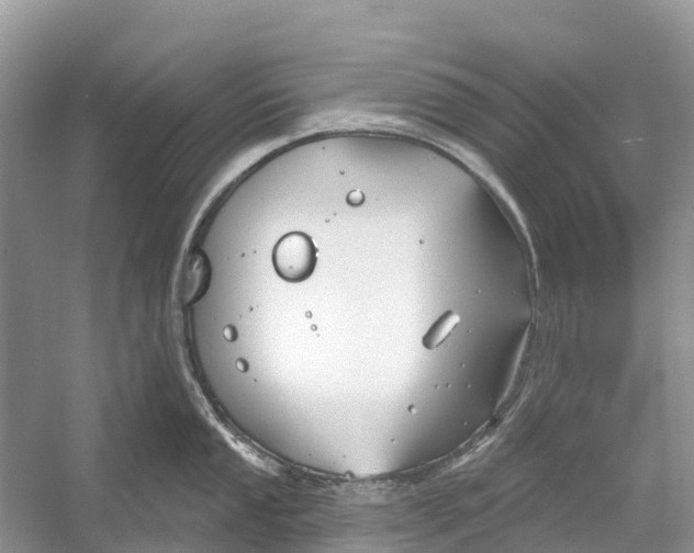 X0000052941053200508050851