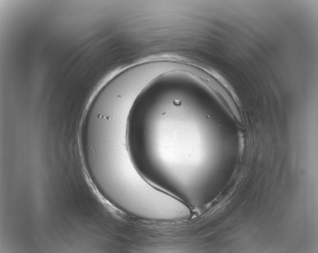 X0000052941054200508050851