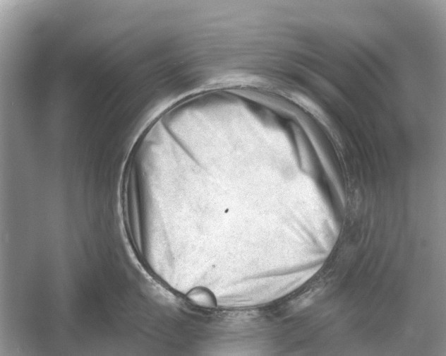 X0000052941055200508050851