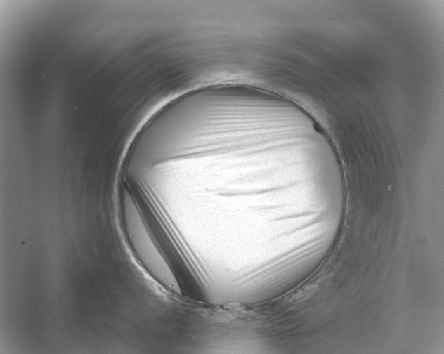 X0000052941056200508050851