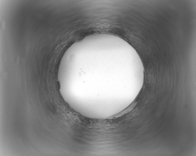 X0000052941057200508050850