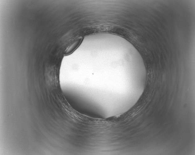 X0000052941058200508050850