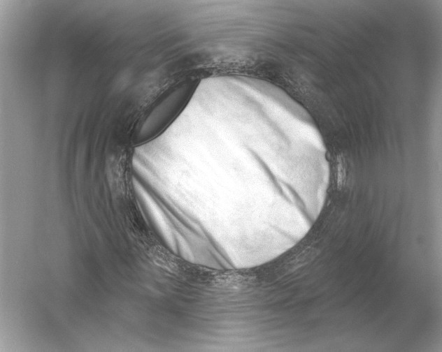 X0000052941059200508050850