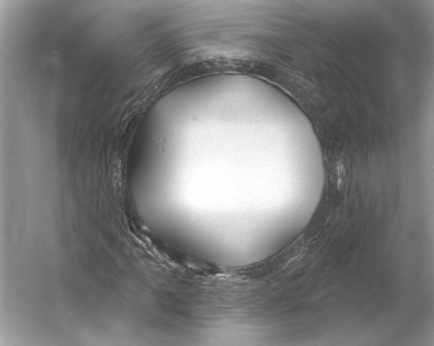 X0000052941061200508050850