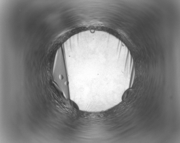 X0000052941063200508050850